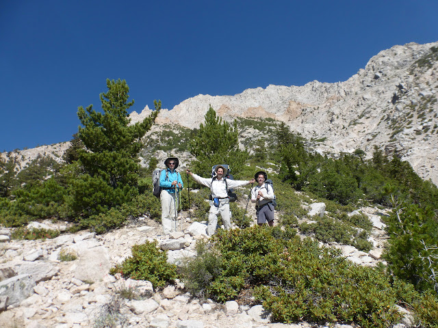 people near tree line