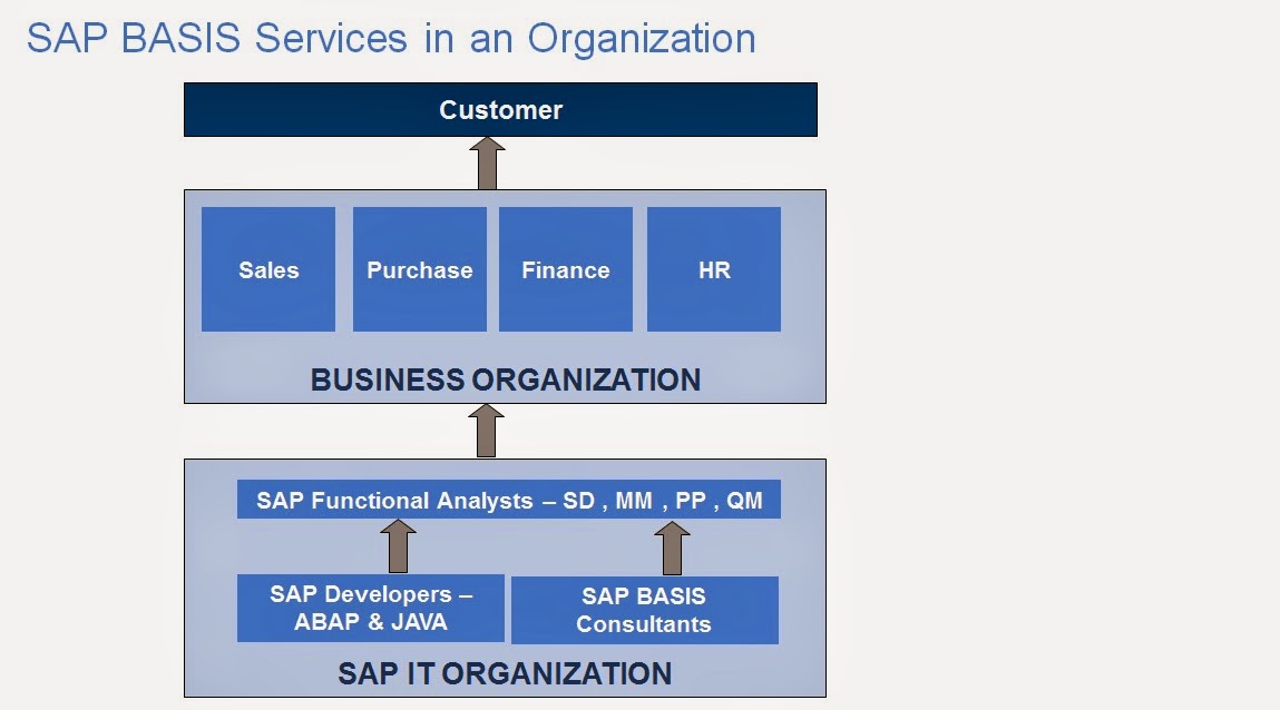 ORACLE DBA : SAP BASIS