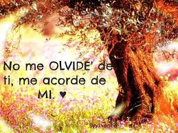 frases de amor frases de amor