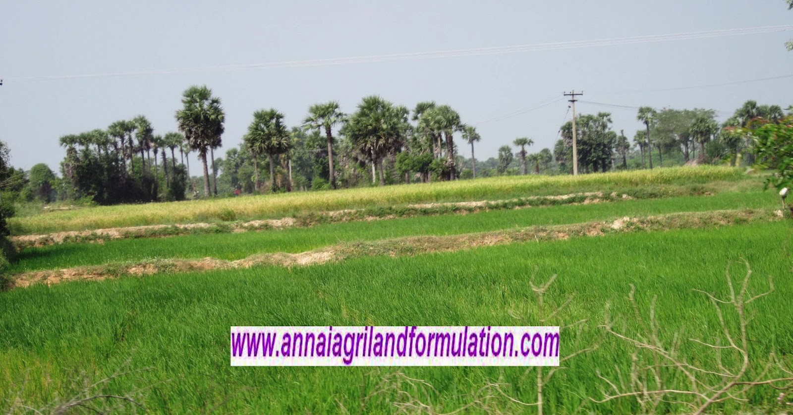 land for sale properties for sale farms for sale cheap land for sale