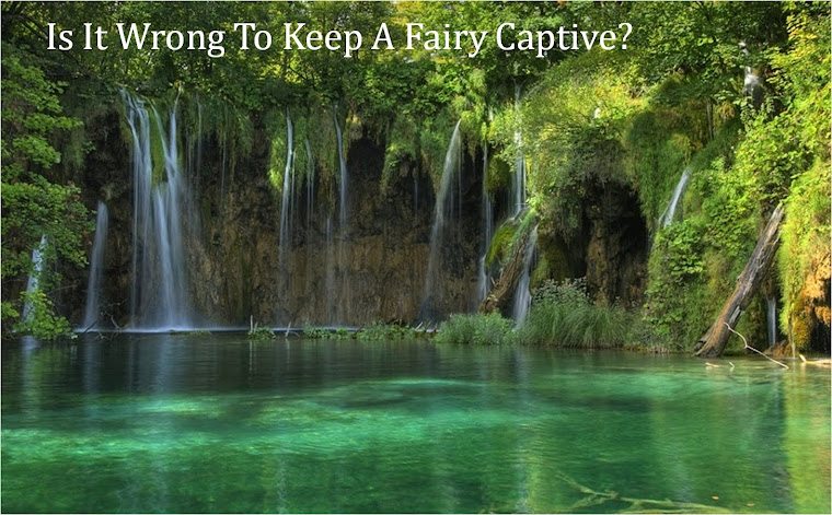 Is It Wrong To Keep A Fairy Captive