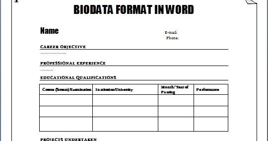 biodata format for job application download sample mba cv sample