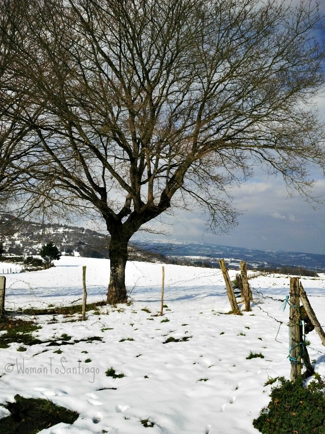 foto de la senda nevada