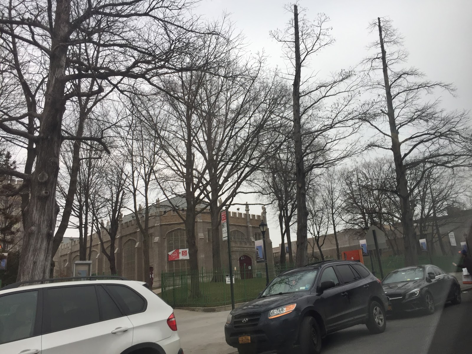 Queens Crap Flushing High School has some poorly installed trees