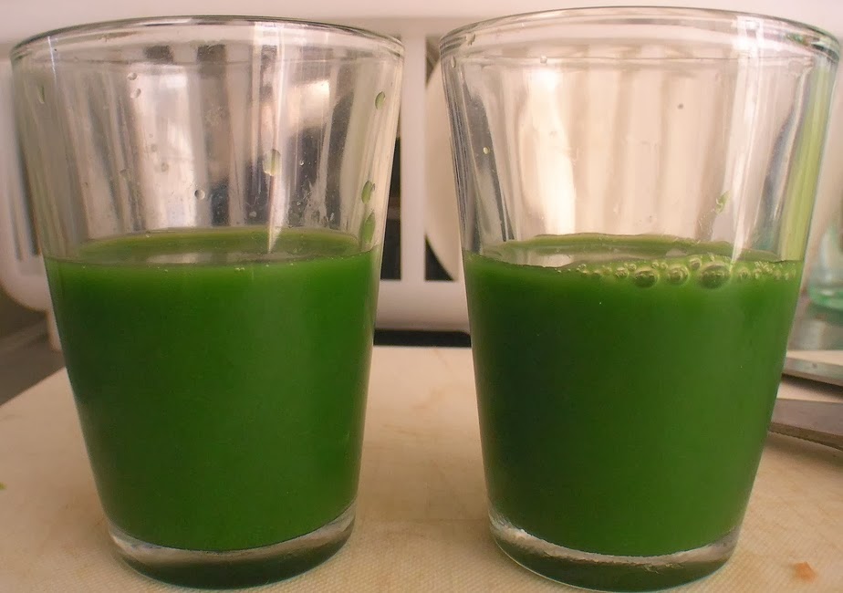 Cerita Wajan : Resep Jus Kemangi (Sweet Basil Juice Recipe) Cerita Wajan : Resep Jus Kemangi (Sweet Basil Juice Recipe)