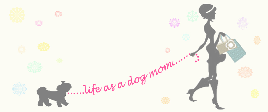 Life as a dog mom!
