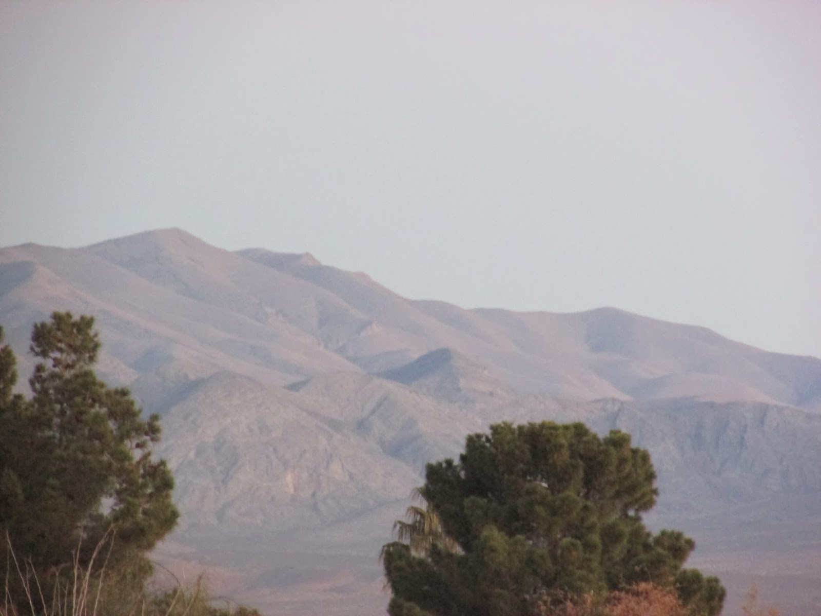 Toys and Stuff Las Vegas NV Sheep Mt.13 Januar 2014