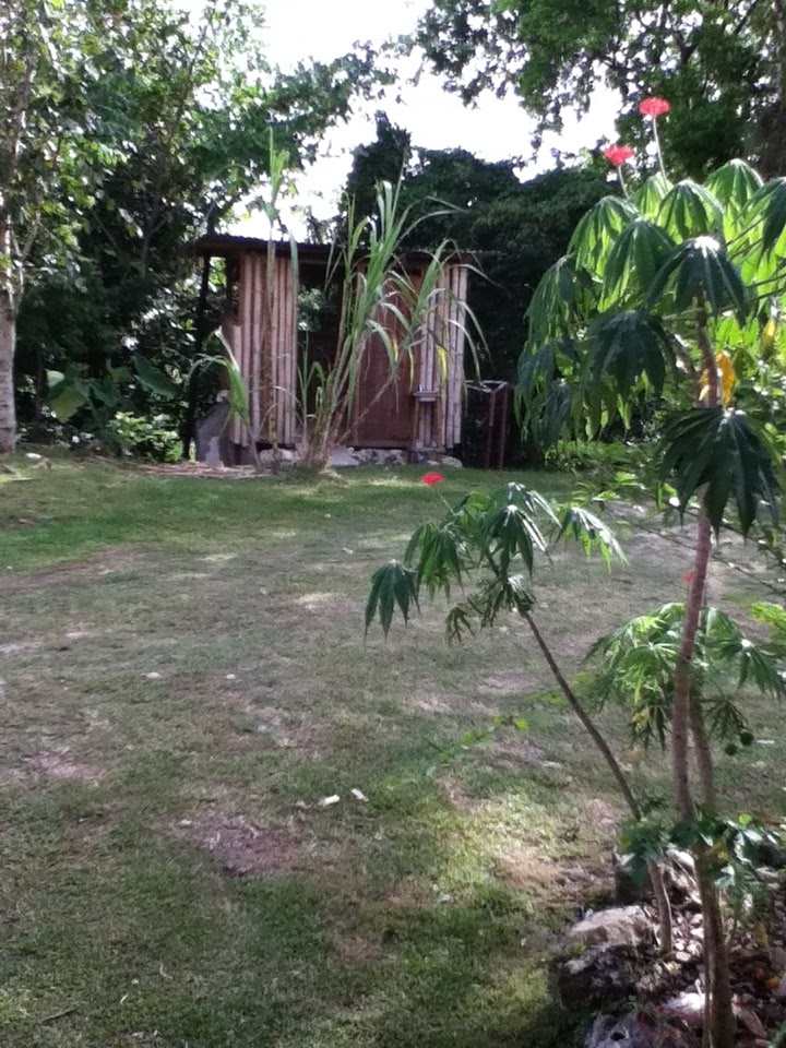 Lions in Jamaica A Journey for Sustainability From the plane to Durga