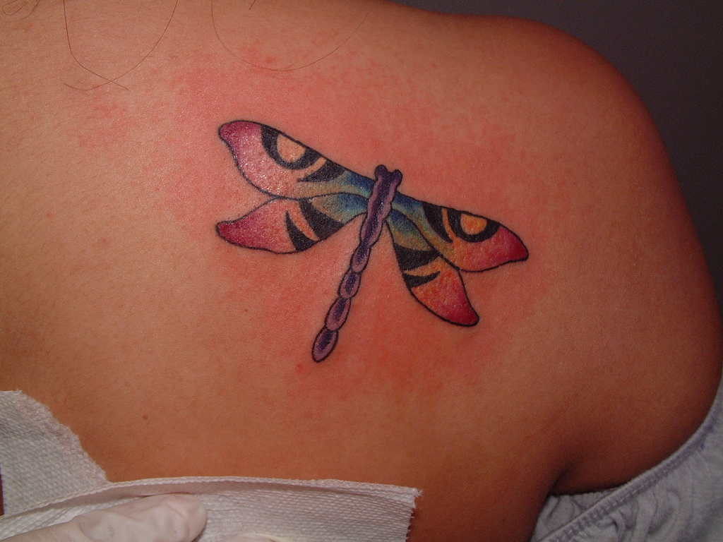 Free Tattoo Pictures Dragonfly Tattoos Where Can You Get Ideas And