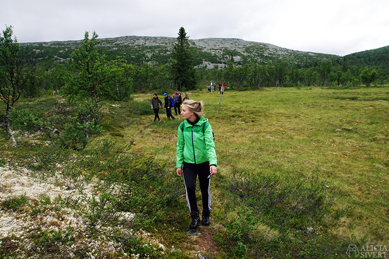 Hiking in Vemdalsskalet, Härjedalen. Photo by Alicia Sivertsson.