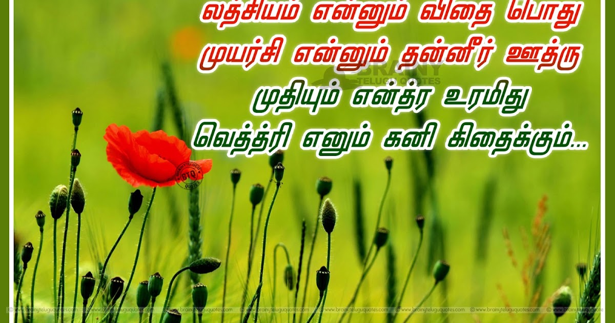 Best Trending Motivational Tamil success Quotes-Motivational Tamil Life