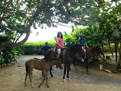 #payabay, #payabayresort, paya bay resort, horseback riding, horses, activity, fun, 