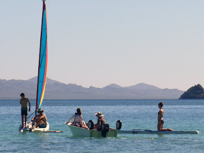 Rush hour on Coyote Beach, BCS, MX.