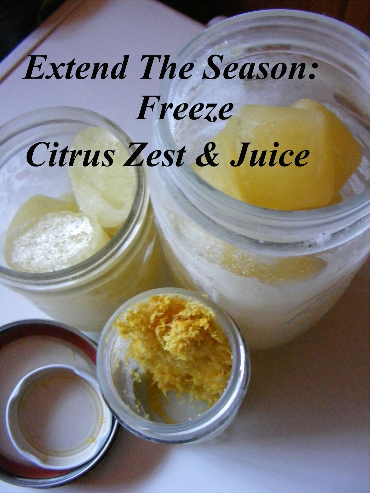 Life From Scratch Extend The Season Freezing Citrus Juice and Zest