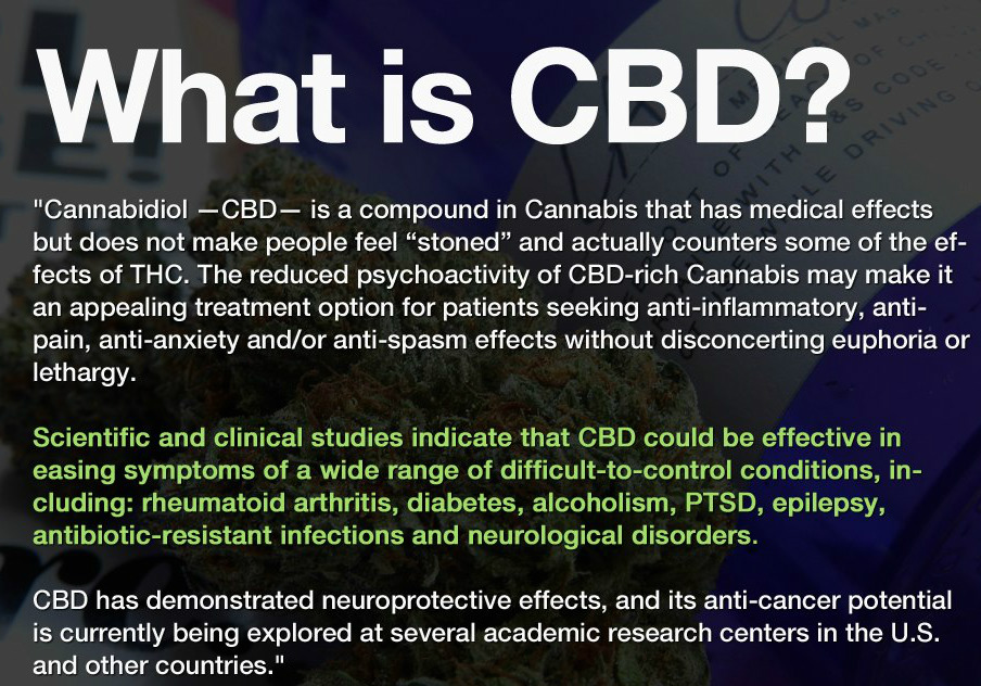 cbd%2B2.jpg