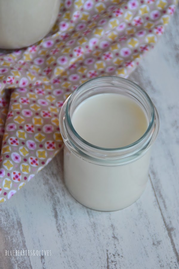 LECHE CASERA DE ANACARDOS Y SÉSAMO