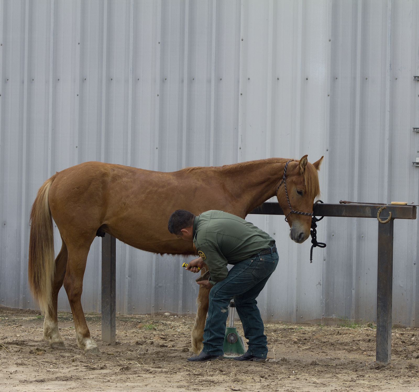 Fulltime Adventure Border Patrol Horse Patrol