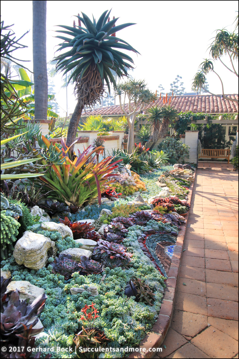 Sherman Oaks Library And Gardens / Contact sherman library and gardens