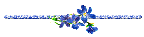 BarraFloresCTV_12a.gif