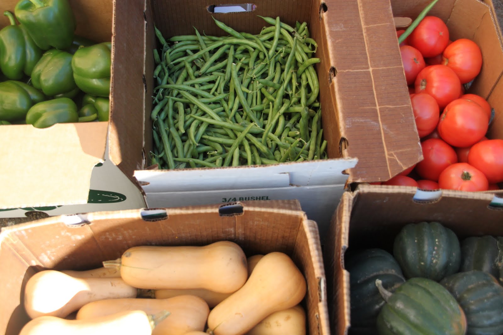 Ole Miss JOUR 378 Woodson Ridge Farms Grows Locally in Oxford, MS