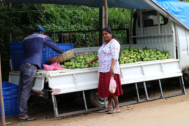 Sri Lanka - jedzenie, narodowe potrawy, napoje i używki Cejlonu