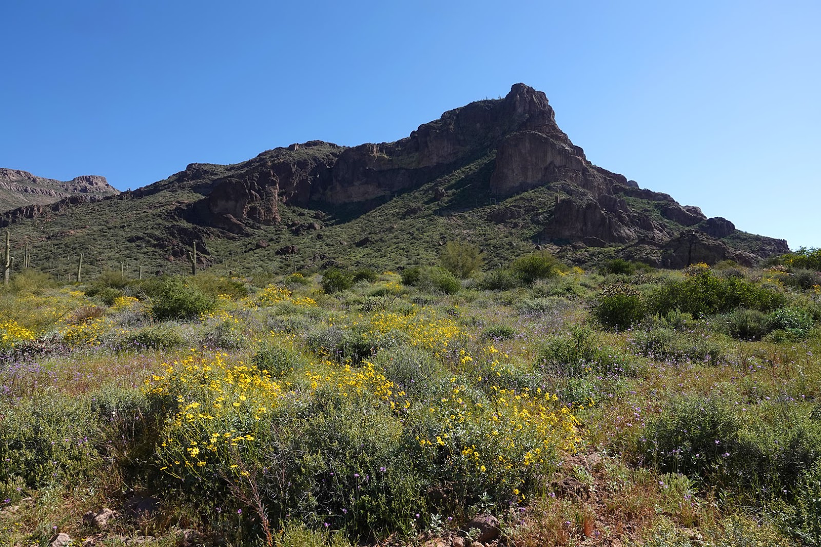 Stan's Travels Gold Canyon, AZ (3/25/2019)
