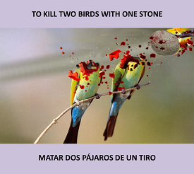 voertuig Vrijgevigheid biologie El Clemente Inglés: MARTES – EXPRESIONES (“To kill two birds with one  stone”)