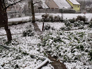 erster Schnee im Winter 2013/14 (c) by Joachim Wenk erster Schnee im Winter 2013/14 (c) by Joachim Wenk