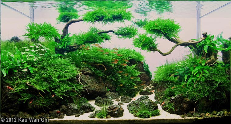 Bowi Miniatur Rumah Untuk Accesories Pada Aquarium