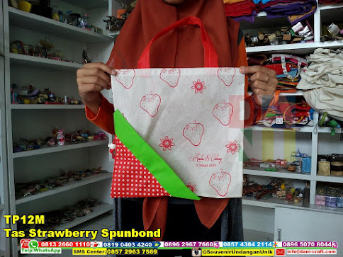 jual Tas Strawberry Spunbond