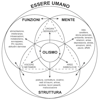 Risultati immagini per visione olistica dell'uomo