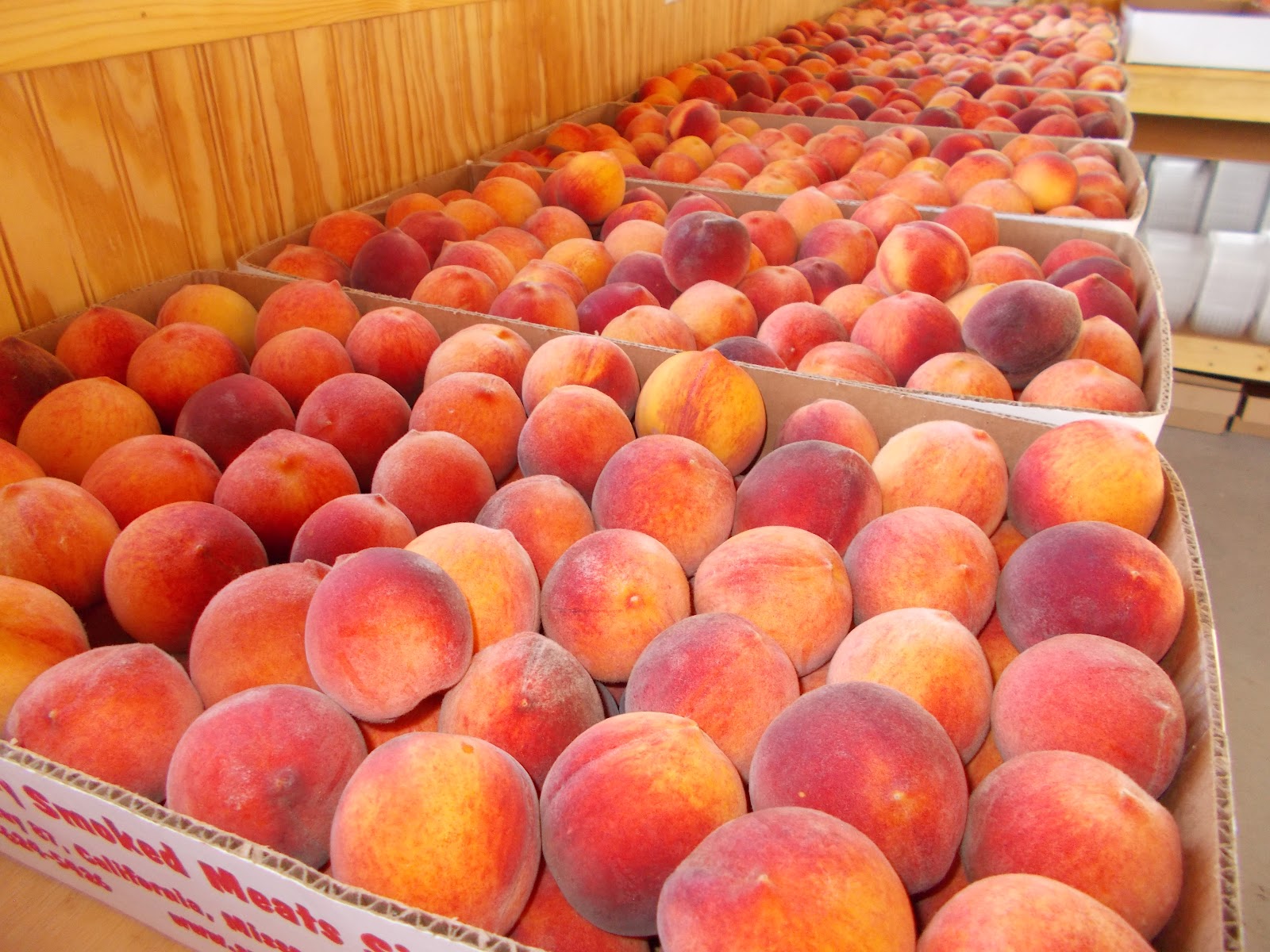 Peach and Nectarine Orchards