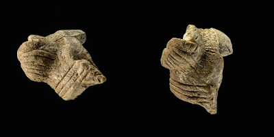 Fragments of new female figurine found at Hohle Fels Fragments of new female figurine found at Hohle Fels