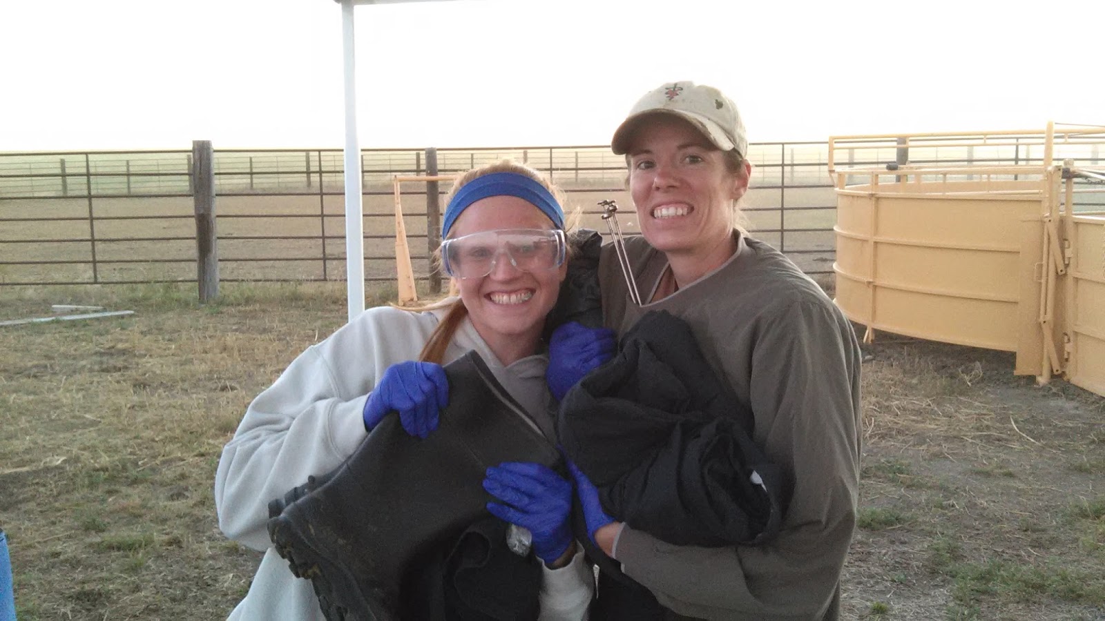 Cheyenne River Animal Hospital
