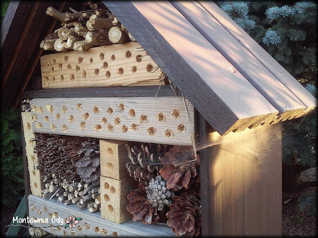 drewniany domek dla owadów pożytecznych