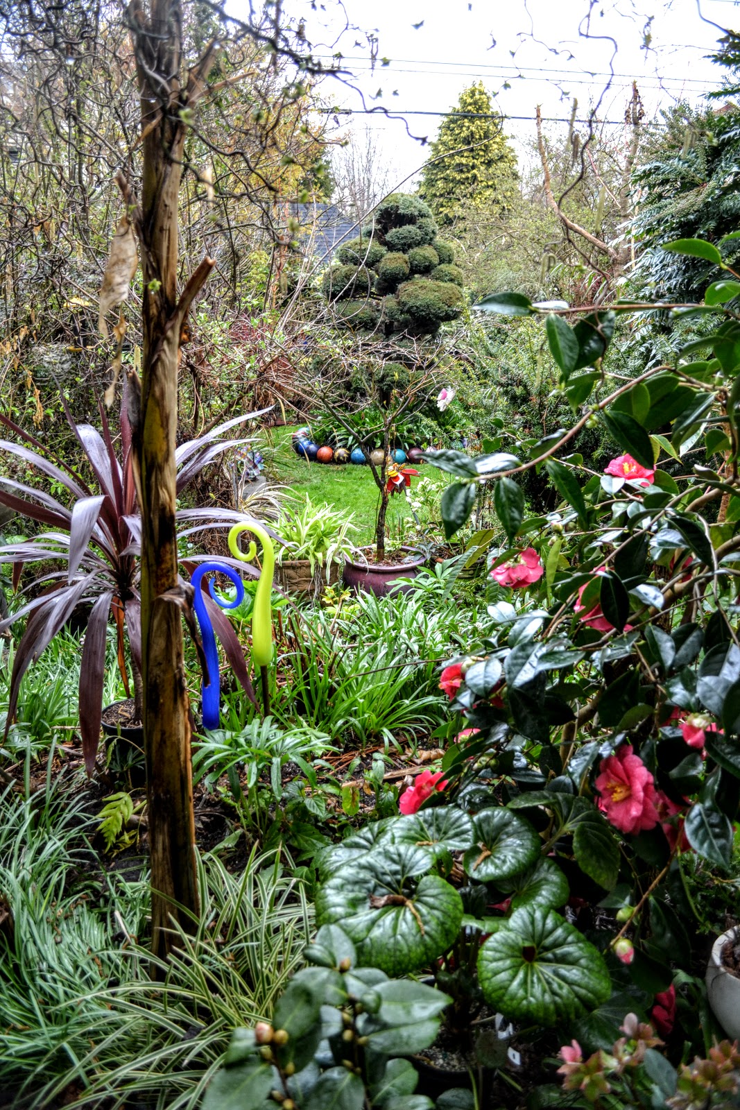 The Outlaw Gardener A Friday Quickie