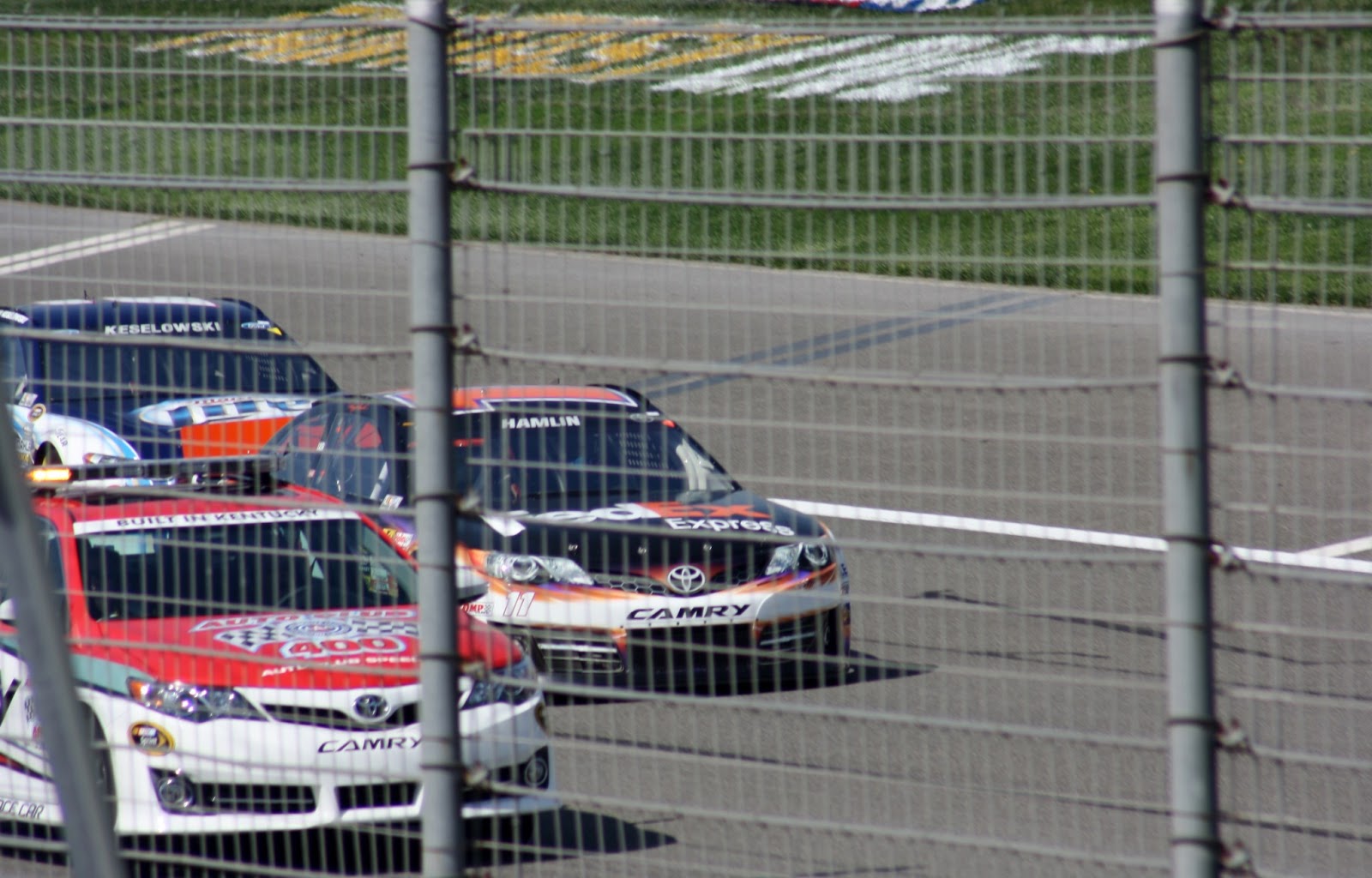 Haddock in the Paddock