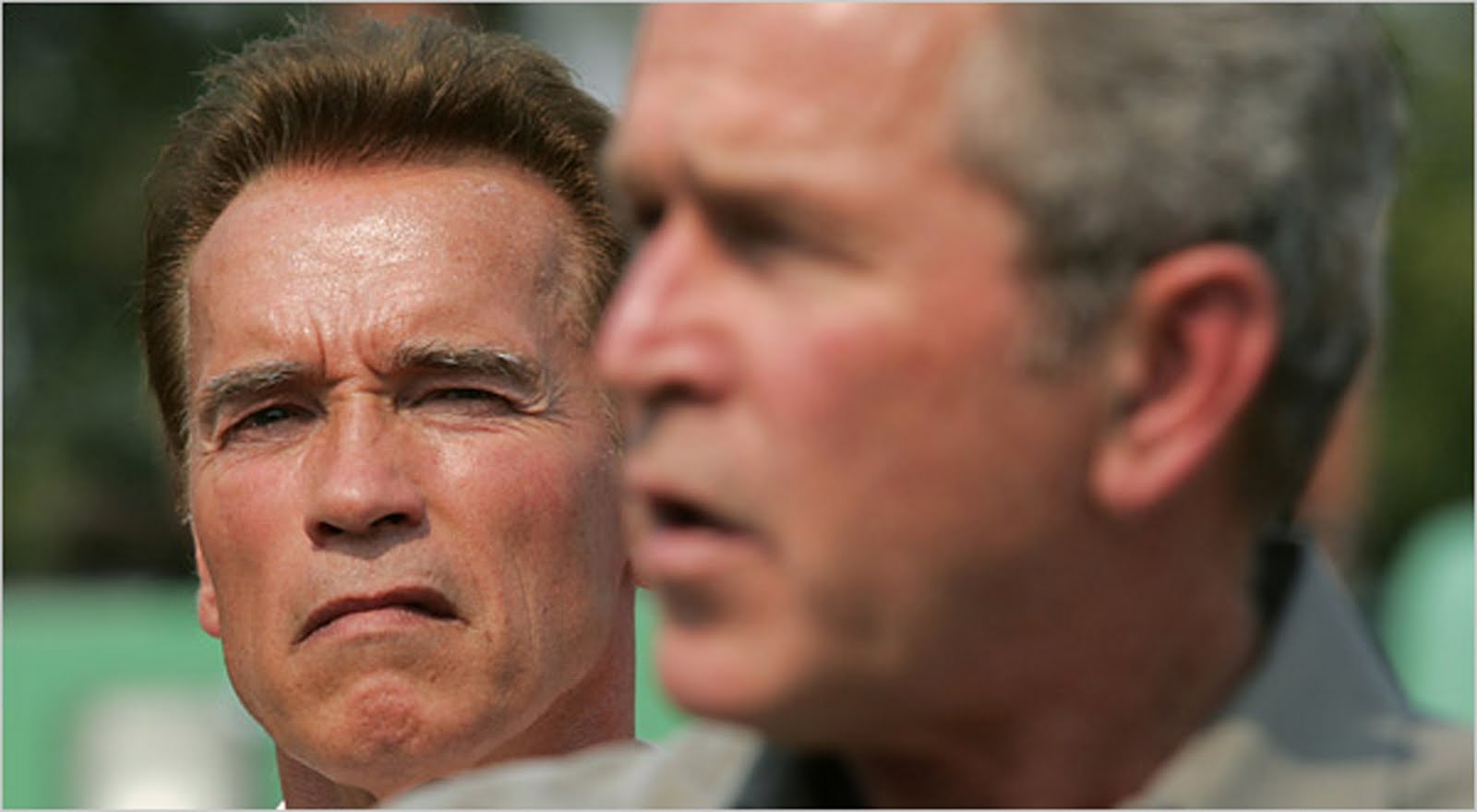 Tom Bush Vw >> Arnold Documentales: enero 2006 Tom Bush Vw >> Arnold Documentales: enero 2006