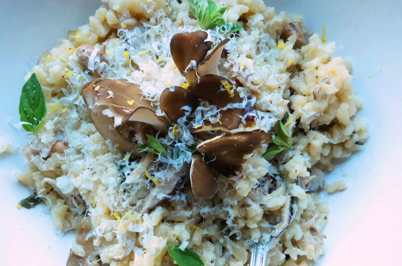 GourMaybe? Oyster and Shiitake Mushroom Risotto with Fresh Herbs and