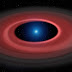 Small, hardy planets most likely to survive death of their stars