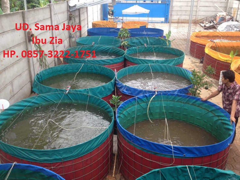 jual kolam terpal murah berkualitas terpal ikan cirebon jual kolam terpal murah berkualitas terpal ikan cirebon