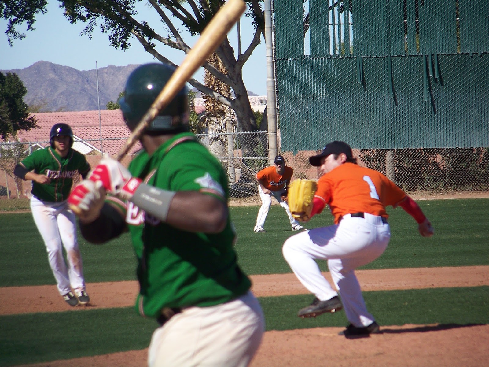 Japanese Baseball Cards Yuma, the Swallows and the Arizona Winter League