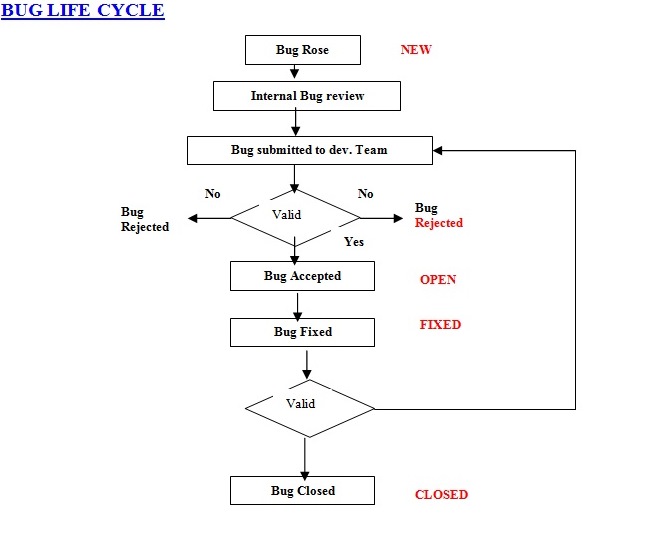 Software Testing Notes: Bug Life Cycle