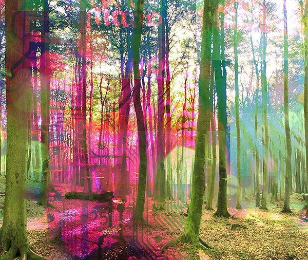 Modern Art Photography Modern Art Photography
