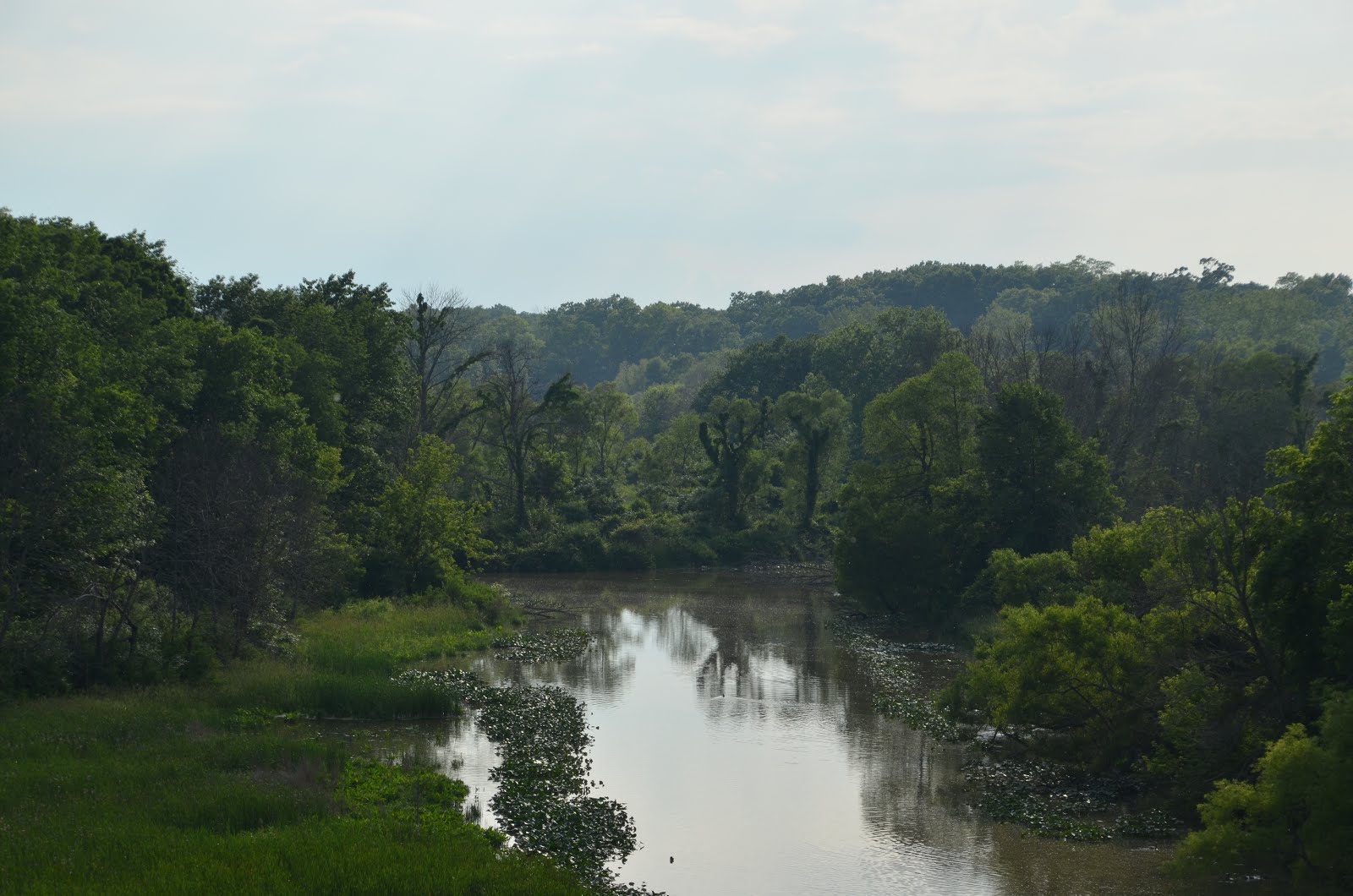 Midwest Family Traveler Galien River County Park