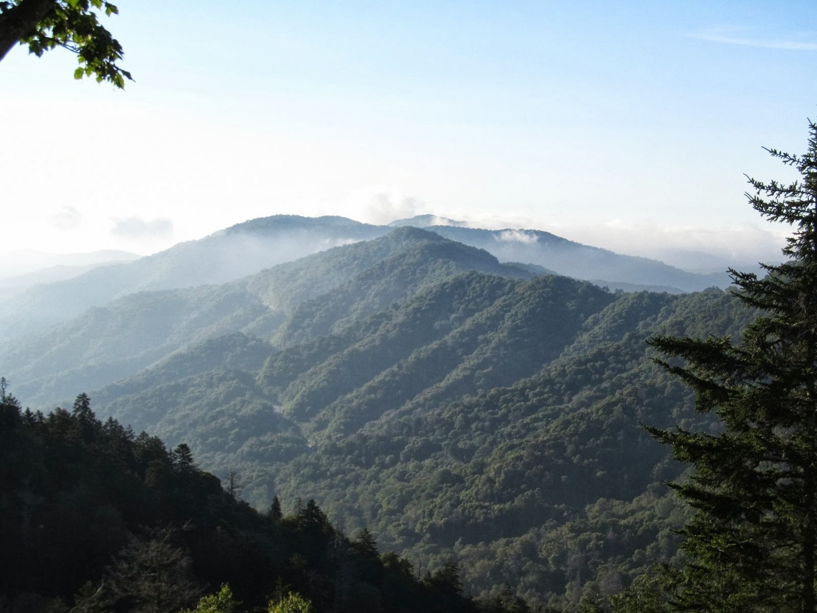 Travels with Margaret Day 2 Smoky Mountains to Nashville