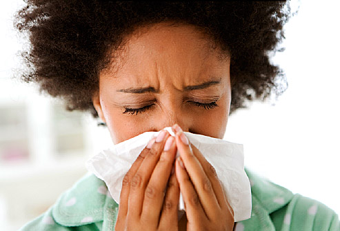 Hilangkan flu dengan mudah Hilangkan flu dengan mudah