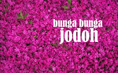 Drama Bunga-Bunga Jodoh; Fathia Latiff X Aiman Hakim Ridza
