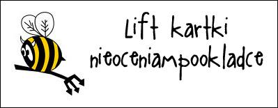 http://diabelskimlyn.blogspot.ie/2015/04/lift-kartkowy.html