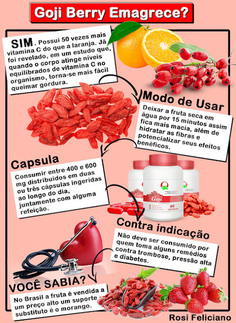11 BENEFÍCIOS DE GOJI BERRY PARA SAÚDE GOJI BERRY EMAGRECE